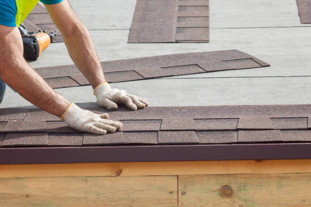 Best Roof Maintenance and Cleaning  in Vincent, AL